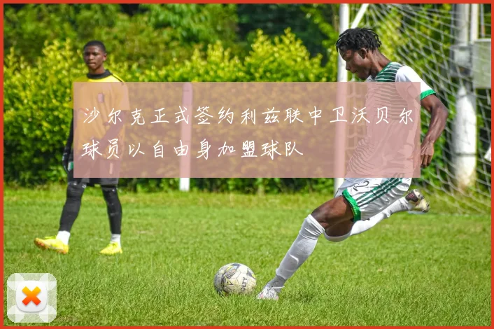 沙尔克正式签约利兹联中卫沃贝尔球员以自由身加盟球队